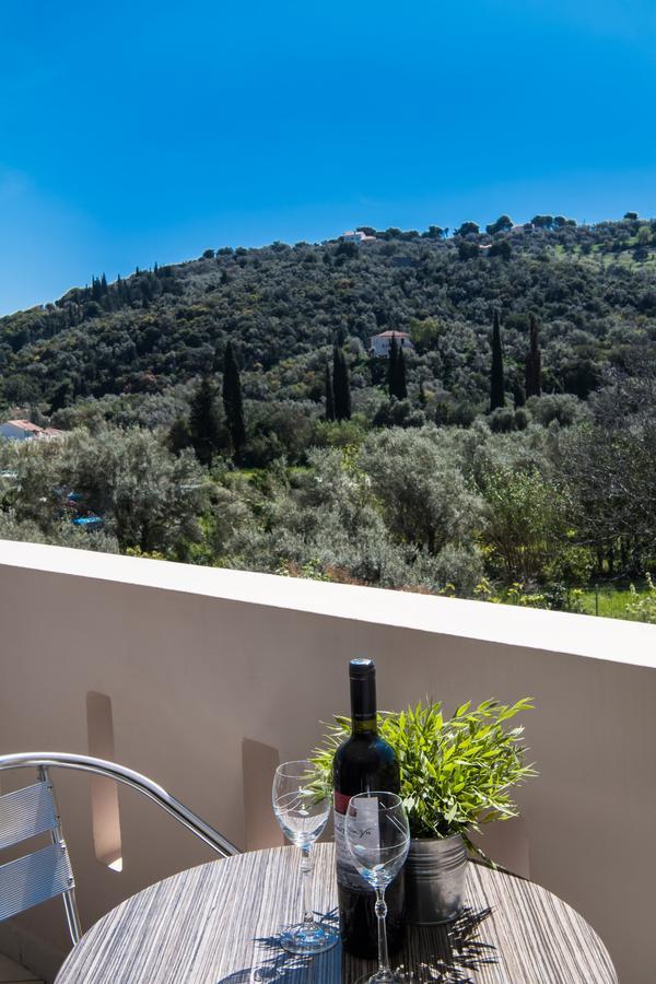 Alexandros Apartment Lefkada City Bagian luar foto